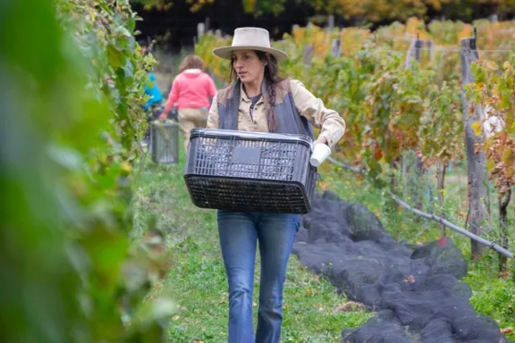vinedos-de-la-estancia-chimehuin-una-hectarea-de-vino-organi