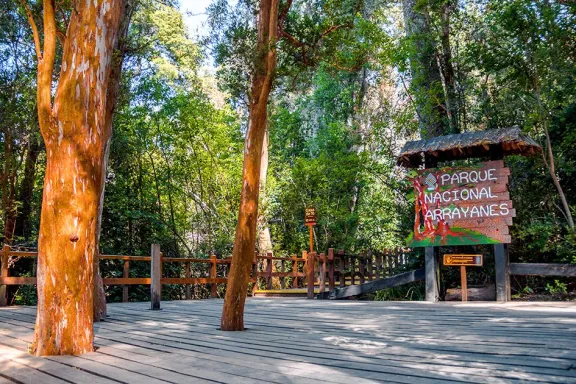 el-bosque-de-los-arrayanes-centenarios-un-rincon-magico-del-