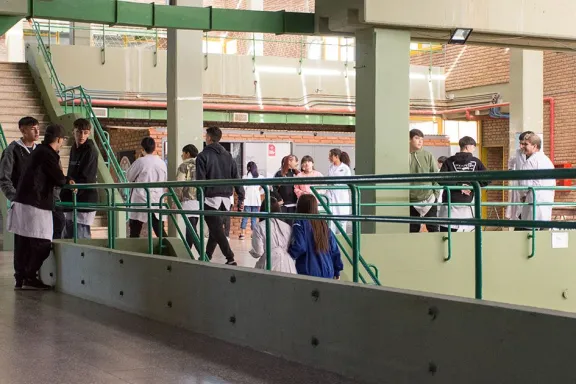 neuquen-aprobo-el-nuevo-curriculo-para-el-ciclo-orientado-de
