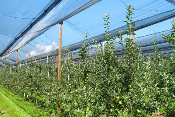 neuquen-pago-mas-de-1600-millones-a-fruticolas-danados-por-g