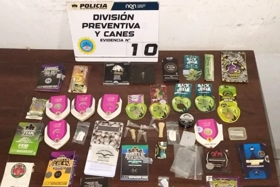 secuestraron-407-gramos-de-cannabis-64-plantines-y-casi-2-mi