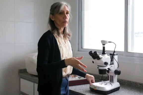 cecilia-gittins-como-la-biodiversidad-neuquina-reduce-quimic