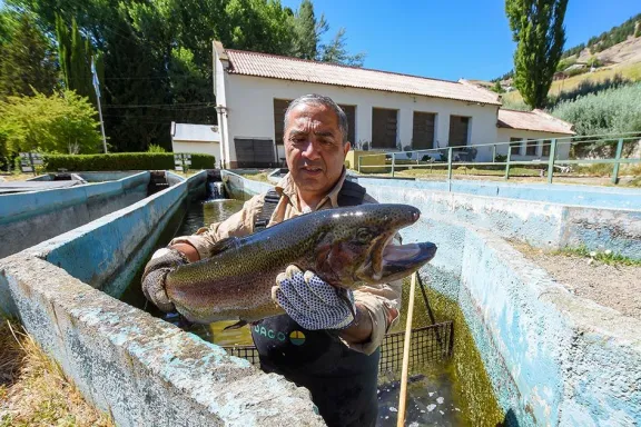el-cean-convierte-la-trucha-patagonica-en-desarrollo-real-pa
