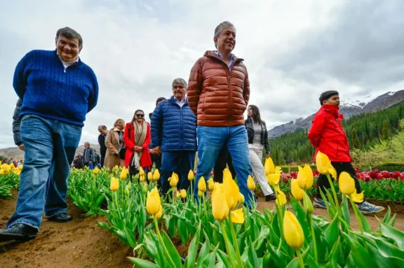 huinganco-florece-figueroa-apuesta-a-200000-tulipanes-en-202