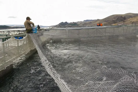 neuquen-lidera-la-produccion-y-exportacion-de-truchas-en-la-