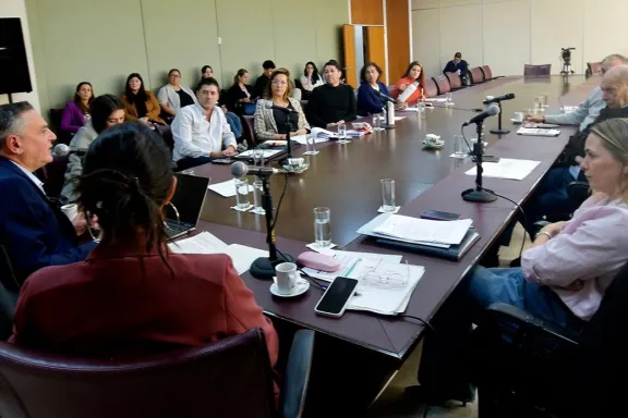 seguridad-y-educacion-digital-neuquen-debate-una-ley-contra-