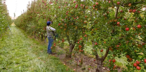 neuquen-destina-mas-de-916-millones-a-productores-danados-po