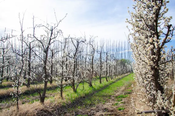 agroturismo-en-neuquen-nuevas-herramientas-y-normativa-en-el