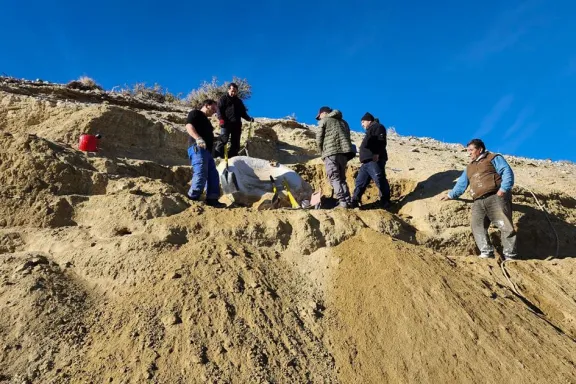 hallan-un-gliptodonte-de-1-millon-de-anos-en-el-valle-del-co