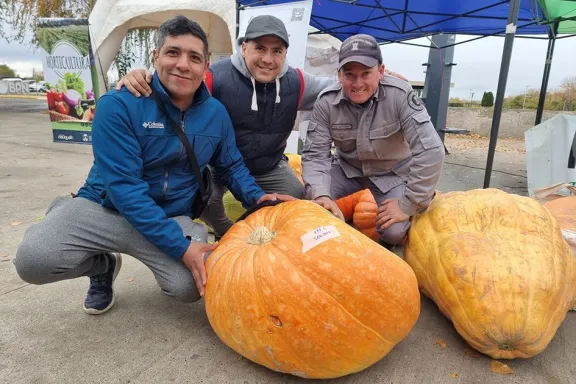 arranca-la-novena-edicion-de-ciudad-zapallo-agricultura-urba