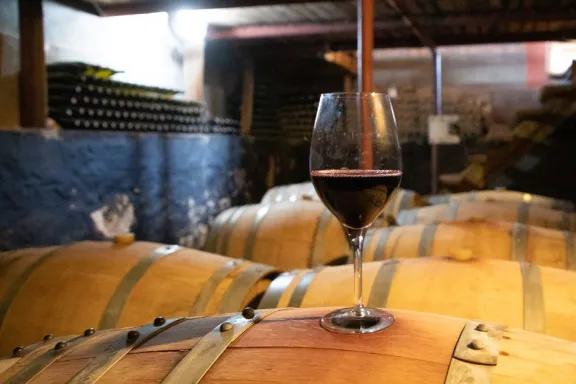 neuquen-celebra-el-pinot-noir-con-foro-industrial-y-noche-ab