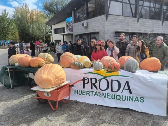 ciudad-zapallo-cierra-su-edicion-con-pesaje-premios-y-feria-