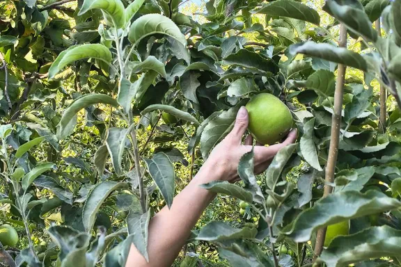 el-sector-fruticola-respaldo-la-ley-para-proteger-las-tierra
