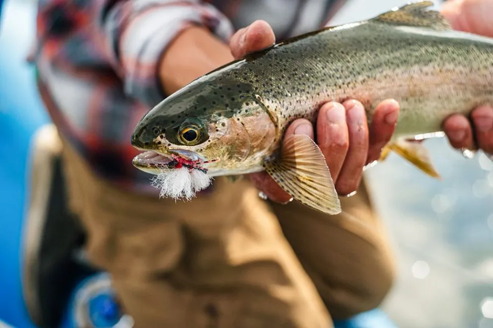 temporada de pesca